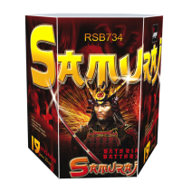 rsb734_symulacja-www-14